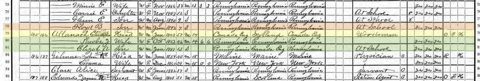 US census 1900