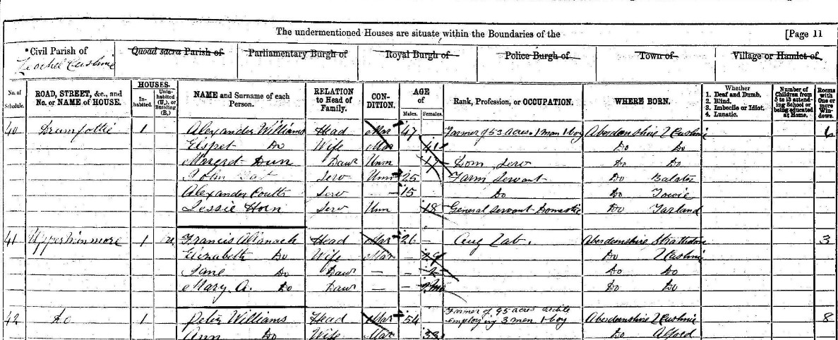 Francis Allanach 1871 Census